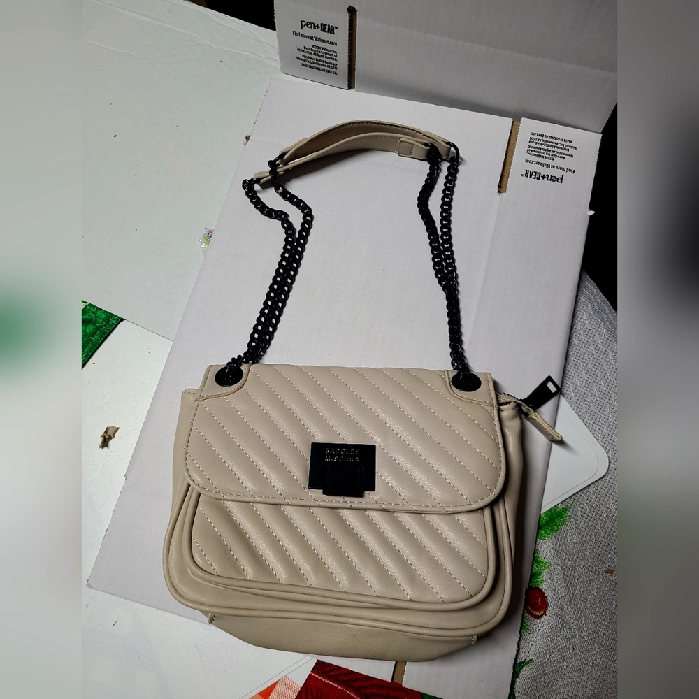 Badgley Mischka bag